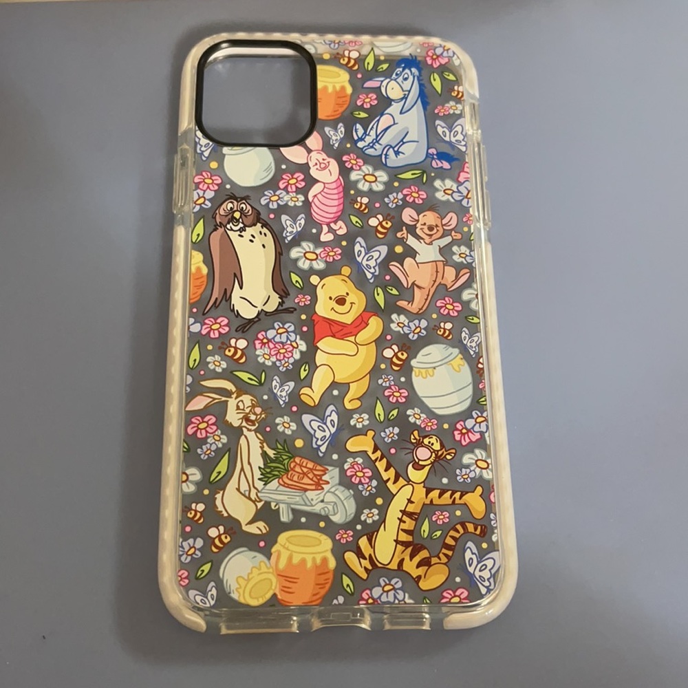 Winnie the Pooh case